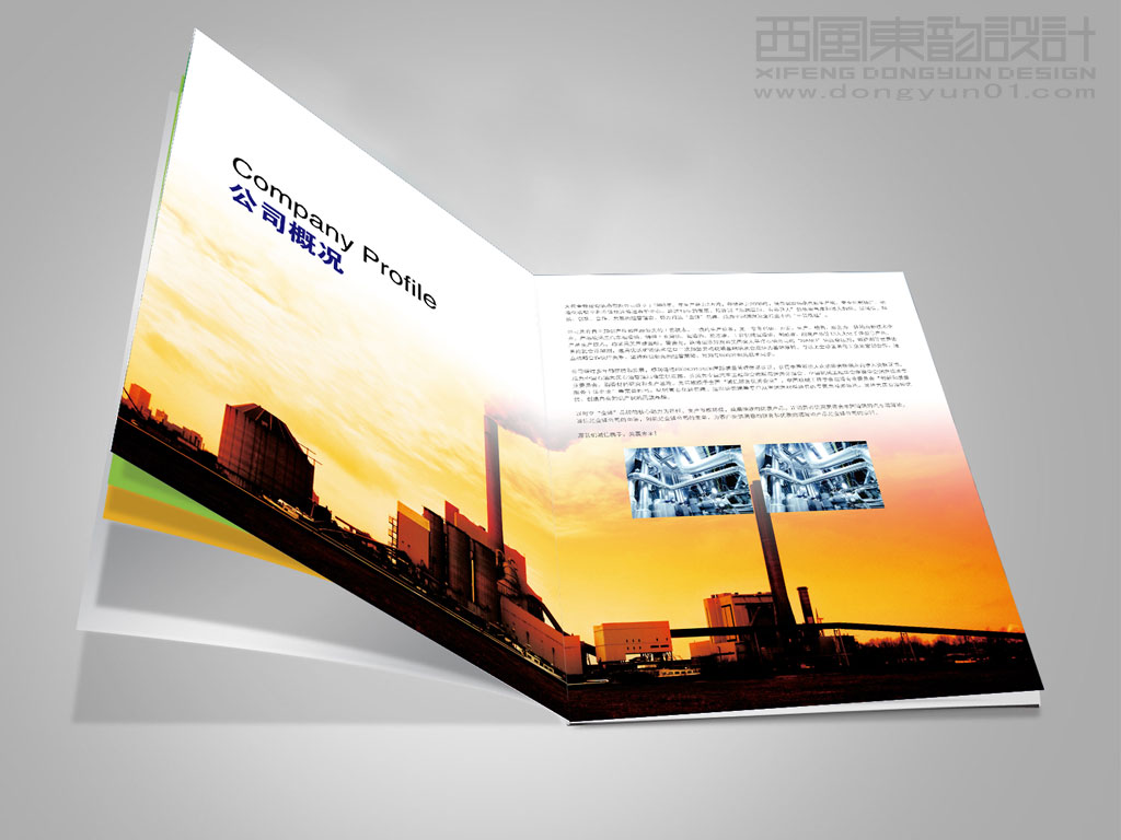 大庆爱游戏全站润滑油公司宣传画册设计之内页设计