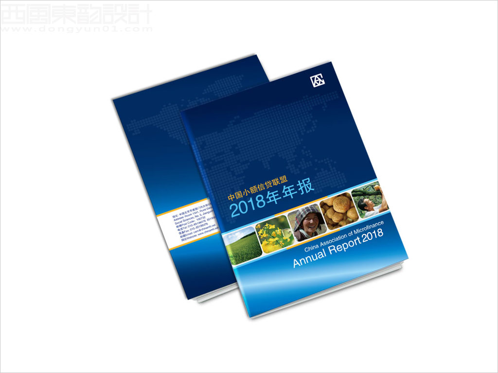 中国小额信贷联盟年报封面设计