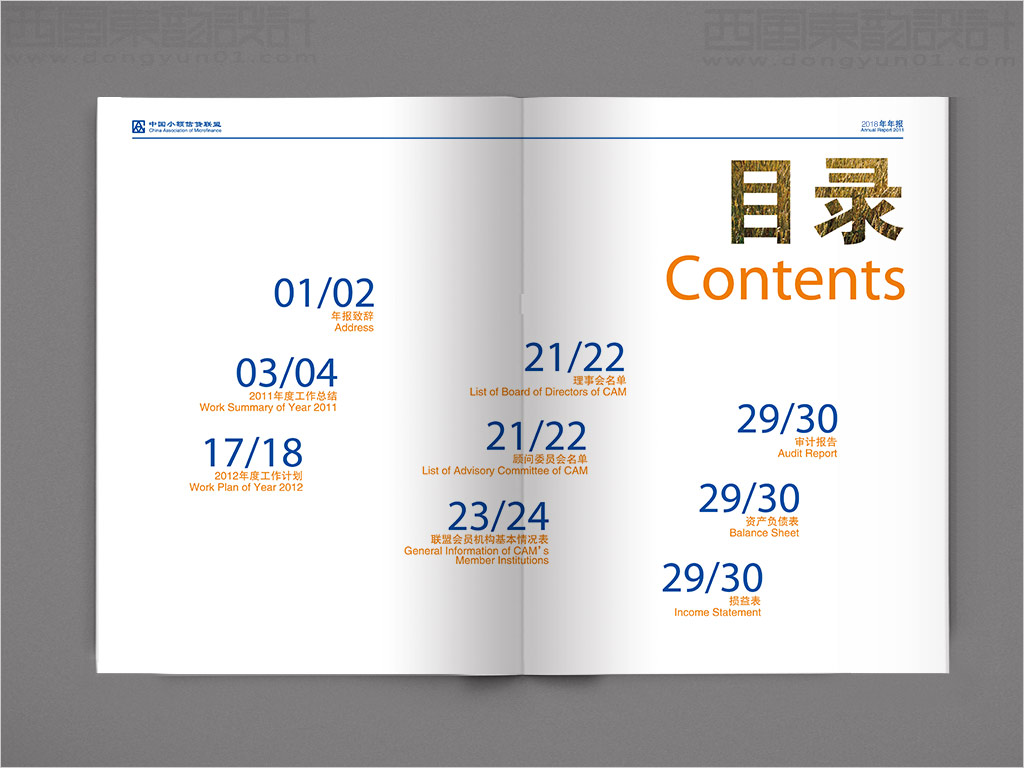 中国小额信贷联盟年报设计之目录页设计