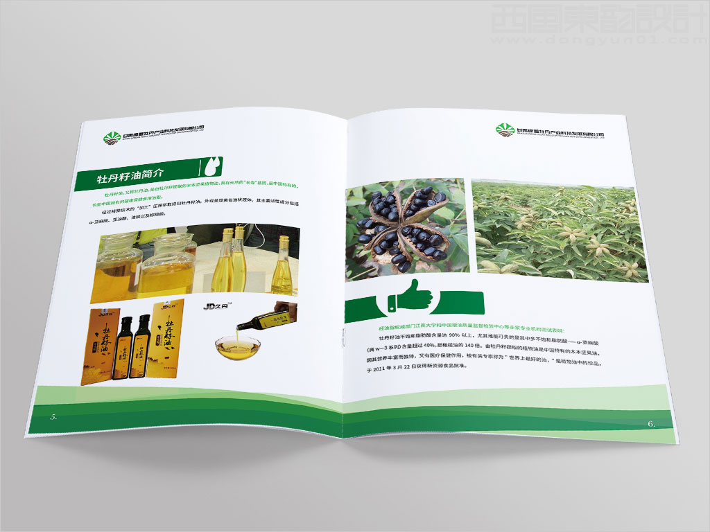 甘肃绿盟牡丹产业科技发展有限公司画册设计之牡丹籽油简介内页设计图片