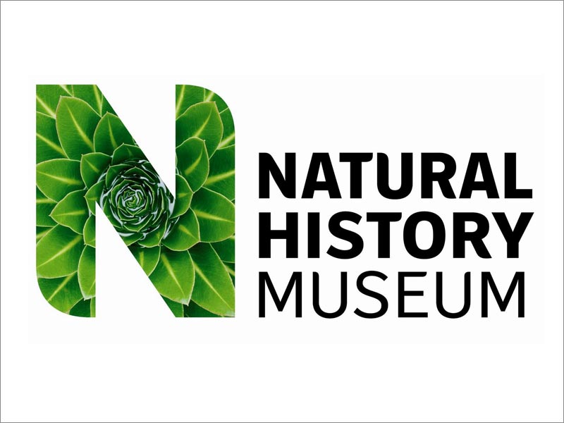 Natural History Museum自然历史博物馆logo设计