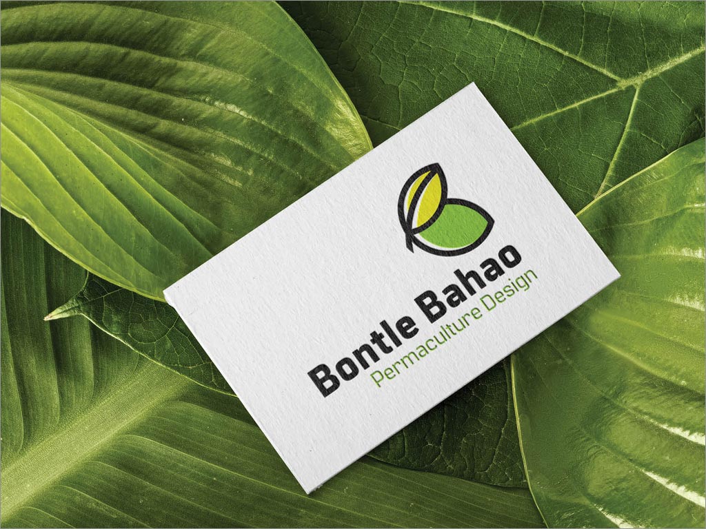  津巴布韦Bontle Bahao农业公司品牌形象设计之名片设计