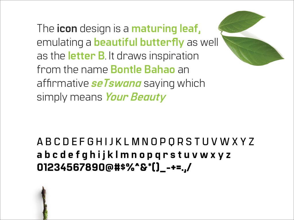  津巴布韦Bontle Bahao农业公司品牌形象设计之logo图形理念诠释