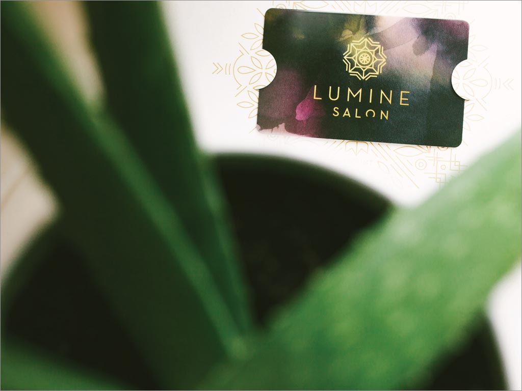 美国Lumine Salon美容美发沙龙会员卡设计