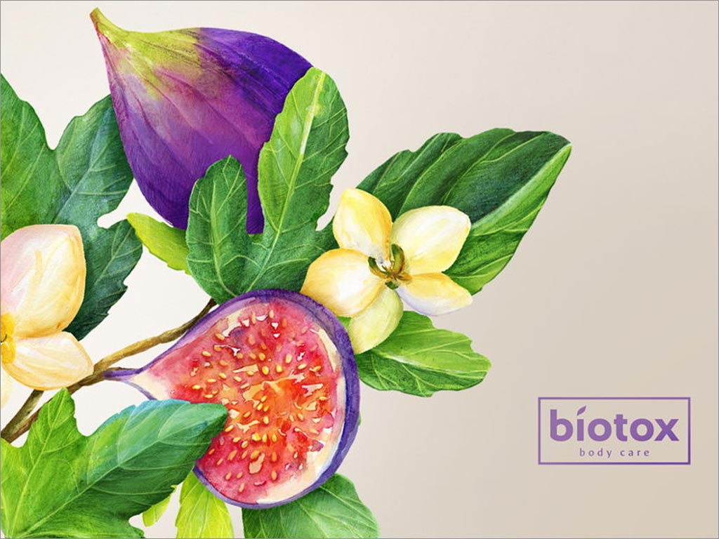 俄罗斯Biotox身体护理产品包装设计之无花果插画设计