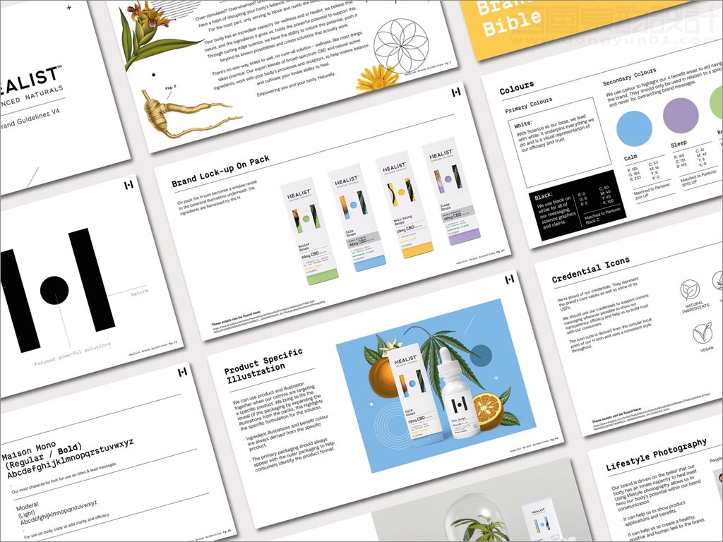 科学与自然完美融合的Healist保健品品牌vi手册设计