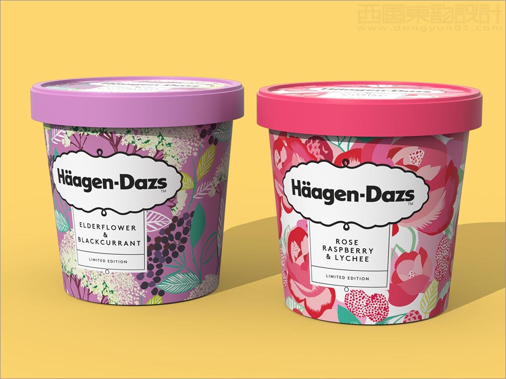 采用独特插画的美国哈根达斯冰淇淋包装设计