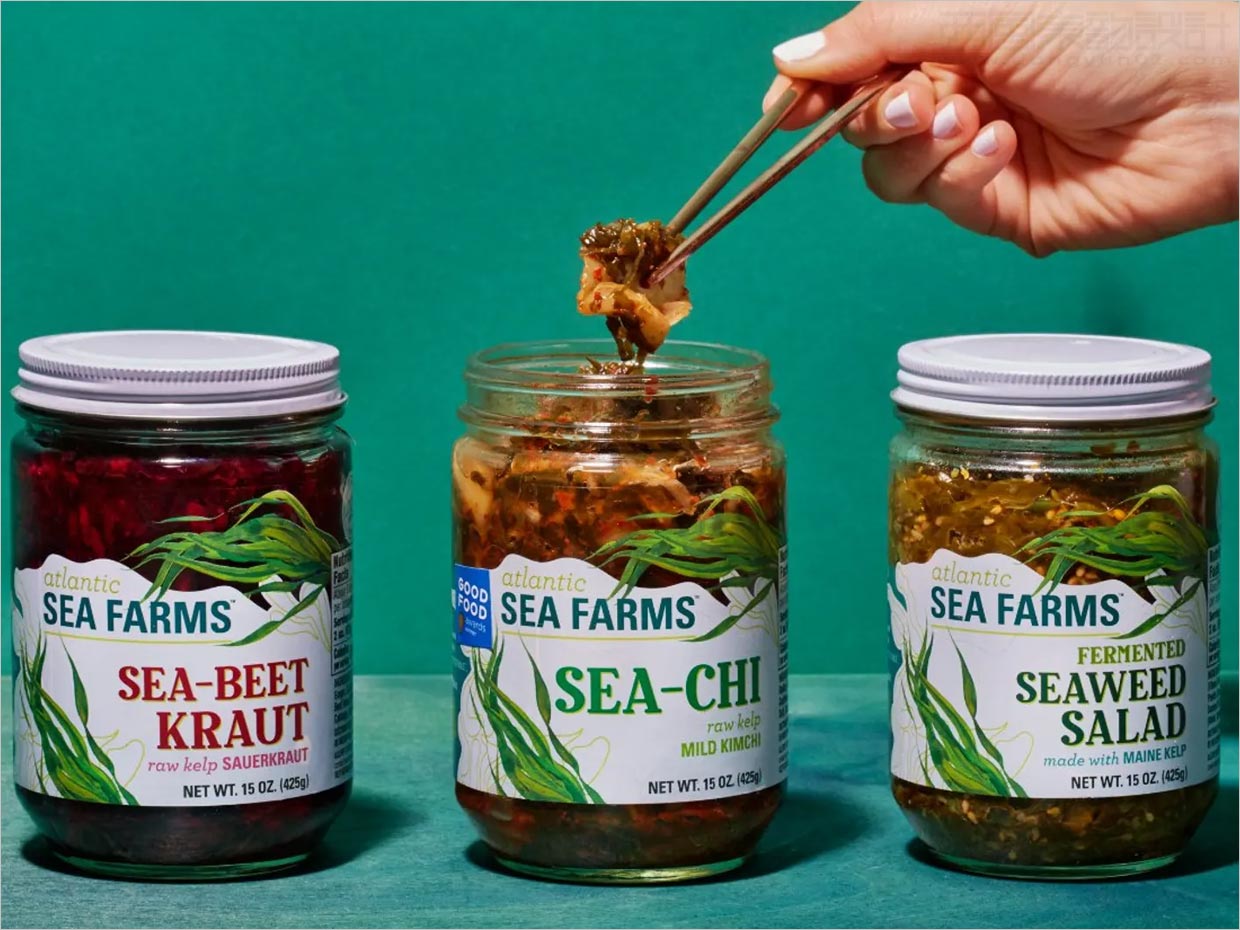 美国Atlantic Sea Farms即食海带包装设计